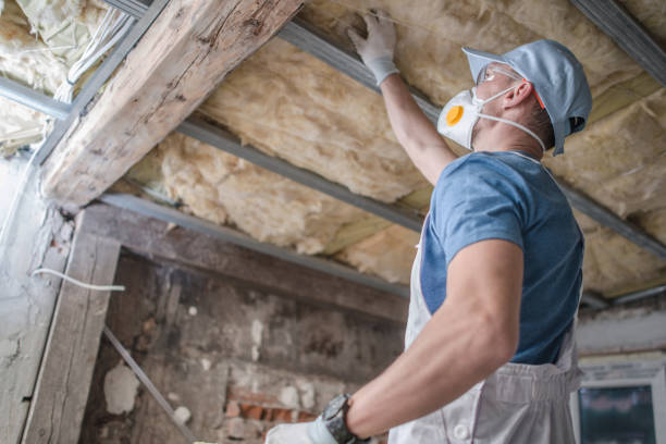 Types of Insulation We Offer in Casa De Oro Mount Helix, CA