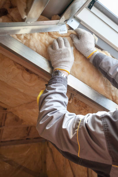 Best Specialized Insulation Services in Sa De Oro Mount Helix, CA