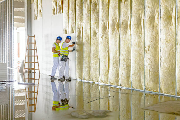 Best Insulation for Specific Applications in Sa De Oro Mount Helix, CA